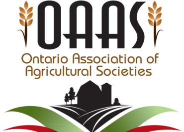 What is the OAAS?