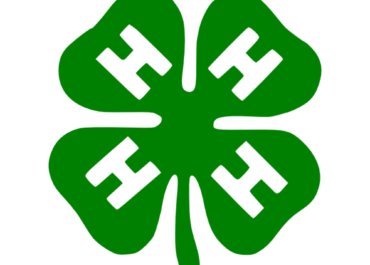 What is the 4H?